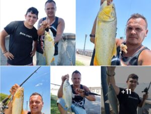 Costanera norte de Buenos Aires – Por Gaston Baldyga