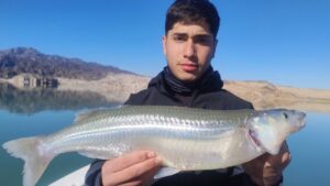 Dique Cuesta del Viento, un entorno ideal para el Pejerrey Sanjuanino