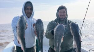 ¡Berisso Explotó! Una semana histórica de Bagres de Mar y la presencia de hermosos «flechas de plata» – Por Dumbo Fishing Team