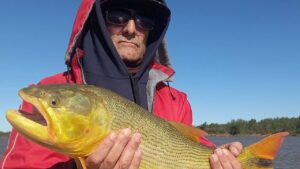 El Paraná Medio en movimiento: Informe de pesca en Reconquista, Santa Fe