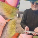 ¡Explotó el invierno! Exclusivo: Llego el corno y hay «FIEBRE AMARILLA» en la costa Atlántica – Por Ricardo González