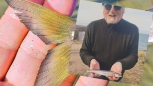 ¡Explotó el invierno! Exclusivo: Llego el corno y hay «FIEBRE AMARILLA» en la costa Atlántica – Por Ricardo González