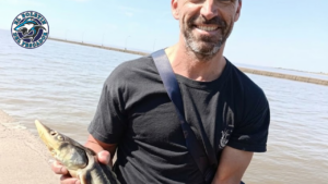 Un pescador encontró otro ejemplar de esturión