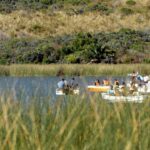 Más de 130.000 alevinos para La Brava: el plan del Club de Pesca Balcarce para cuidar el recurso