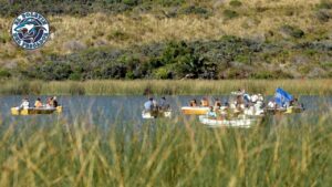 Más de 130.000 alevinos para La Brava: el plan del Club de Pesca Balcarce para cuidar el recurso