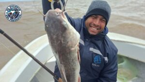 ¡A pura fiesta! El bagre de mar marca el pulso de la temporada en Berisso