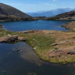 En 2025, España eliminó peces invasores de dos lagos de los Pirineos: 10 meses después, los anfibios e invertebrados regresaron a su hábitat