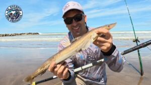INFORME DE PESCA: Zona Mar del Plata, Chapadmalal, Miramar y zonas aledañas… Por Ricardo Gonzalez
