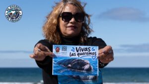 Clamor en el Golfo Nuevo: Vecinos autoconvocados exigen respuestas tras una inusual mortandad de ballenas francas australes