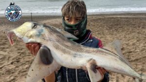 Informe Semanal de Pesca: Mar del Plata, Miramar, Mar del Sur y Zonas Aledañas… Por Ricardo Gonzalez